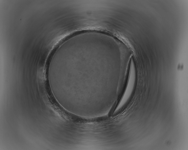 X0000091010628200708021549