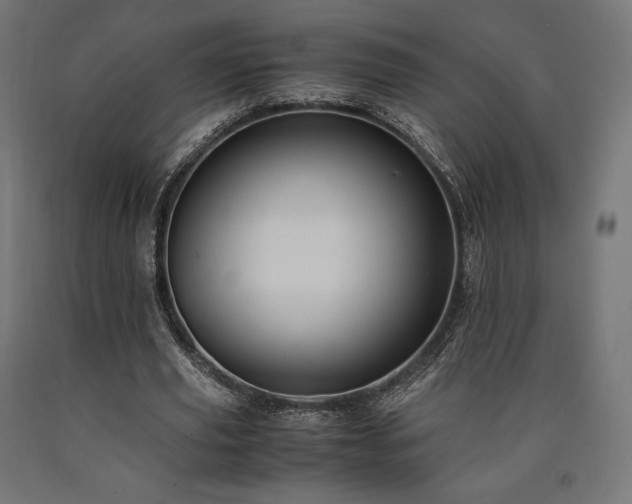 X0000091010629200708021549