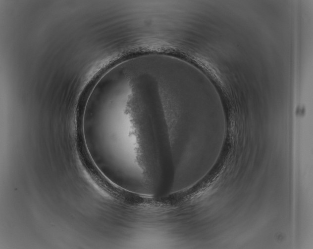X0000091010630200708021549