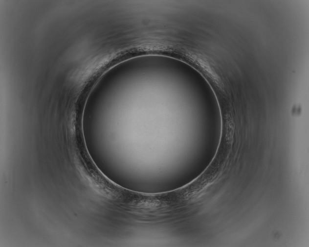 X0000091010631200708021549