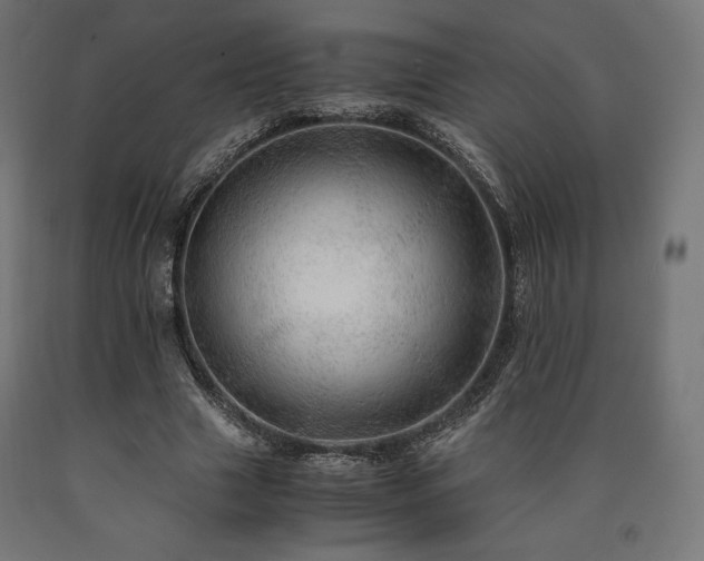 X0000091010633200708021549