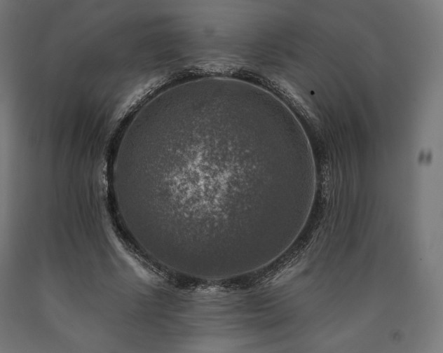X0000091010634200708021549