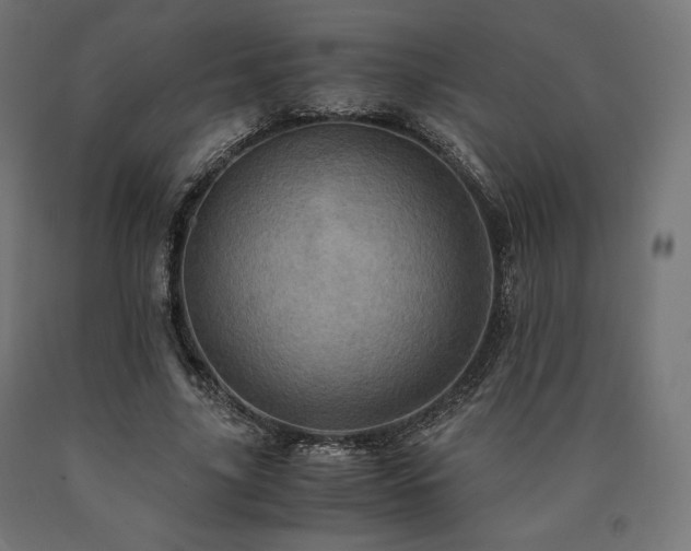 X0000091010635200708021549