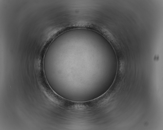 X0000091010636200708021549