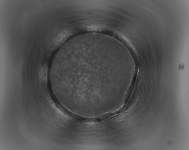 X0000091010637200708021549