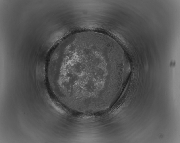 X0000091010638200708021549
