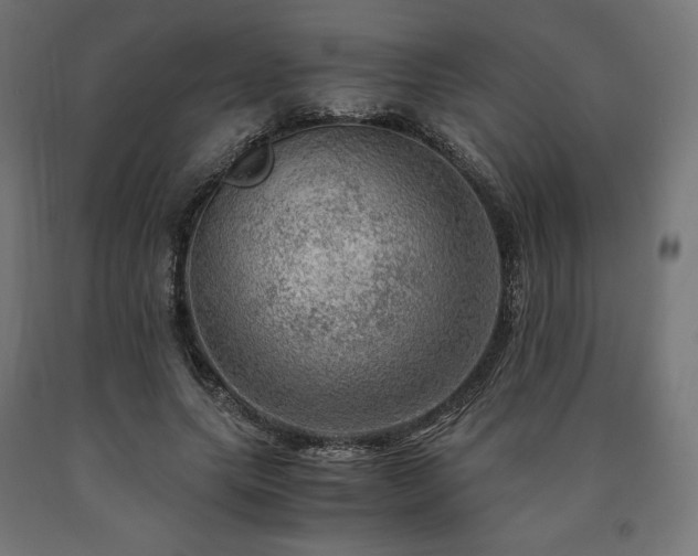 X0000091010639200708021549