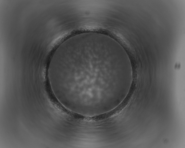 X0000091010640200708021549