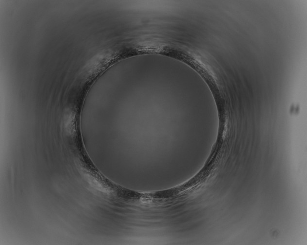 X0000091010641200708021549