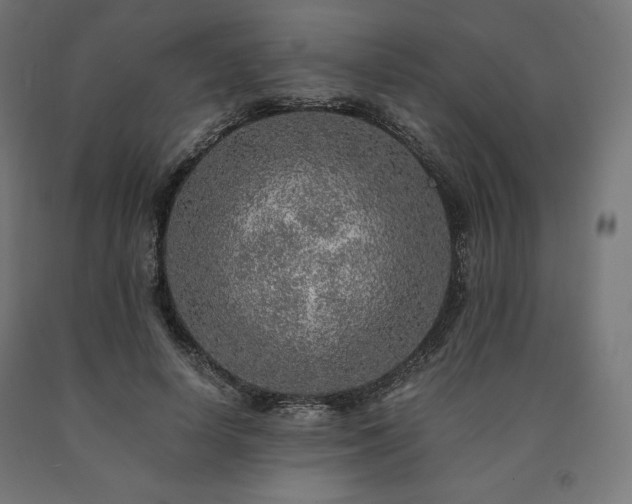 X0000091010642200708021549