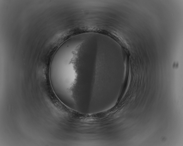 X0000091010643200708021549