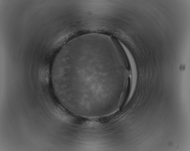 X0000091010644200708021549