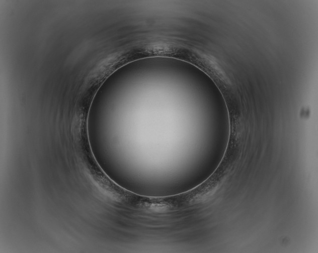 X0000091010645200708021549
