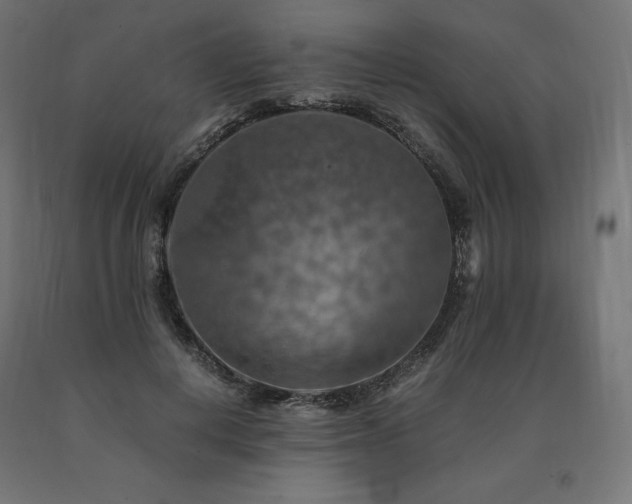 X0000091010648200708021549