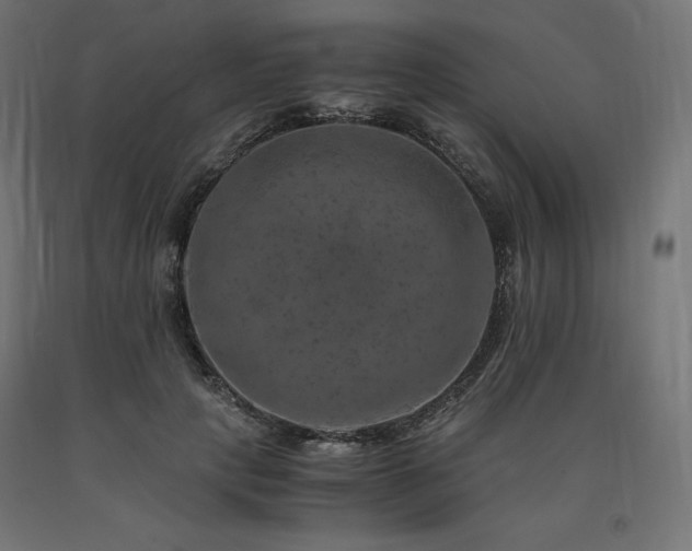 X0000091010649200708021549
