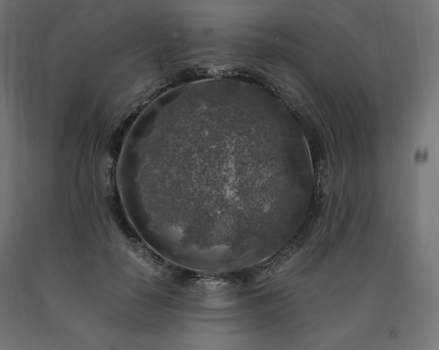 X0000091010650200708021549