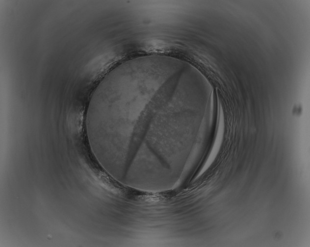 X0000091010652200708021549
