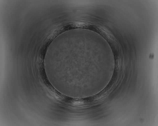 X0000091010653200708021549