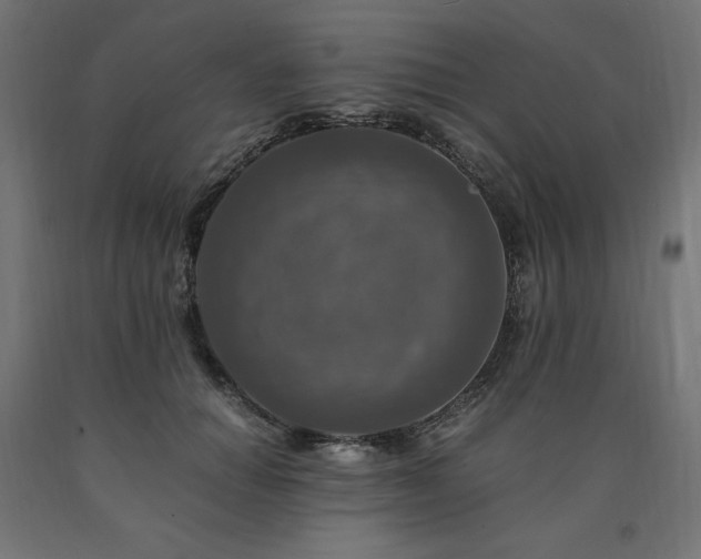 X0000091010654200708021549