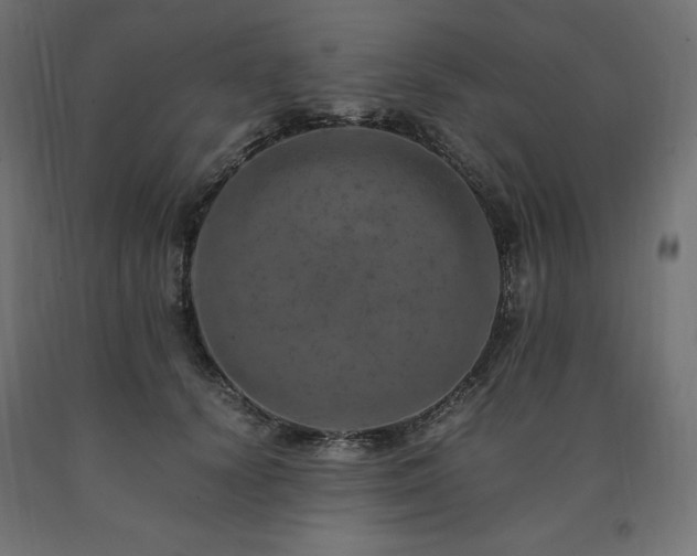 X0000091010656200708021549