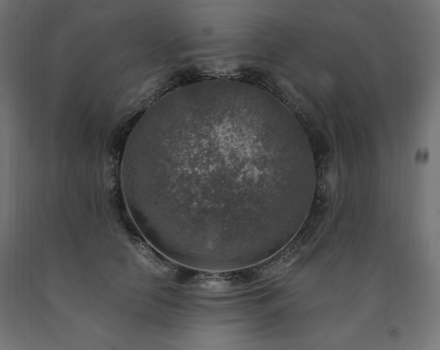 X0000091010658200708021549
