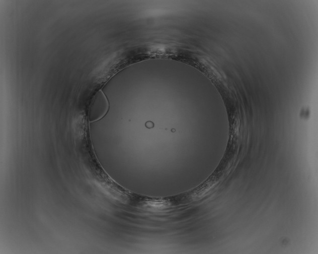 X0000091010659200708021549