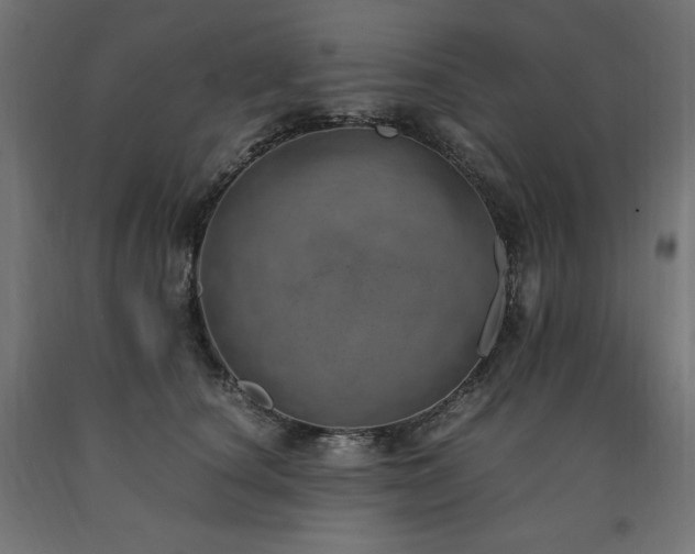 X0000091010660200708021549