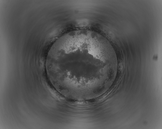 X0000091010662200708021549