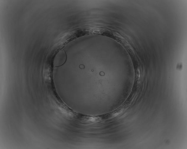 X0000091010663200708021549