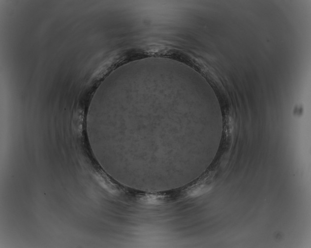 X0000091010664200708021549