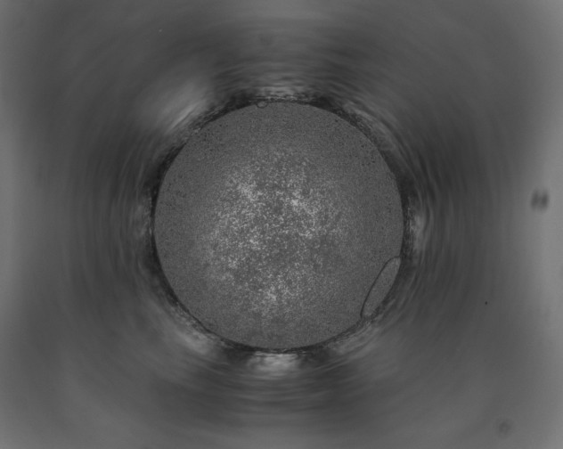 X0000091010665200708021549