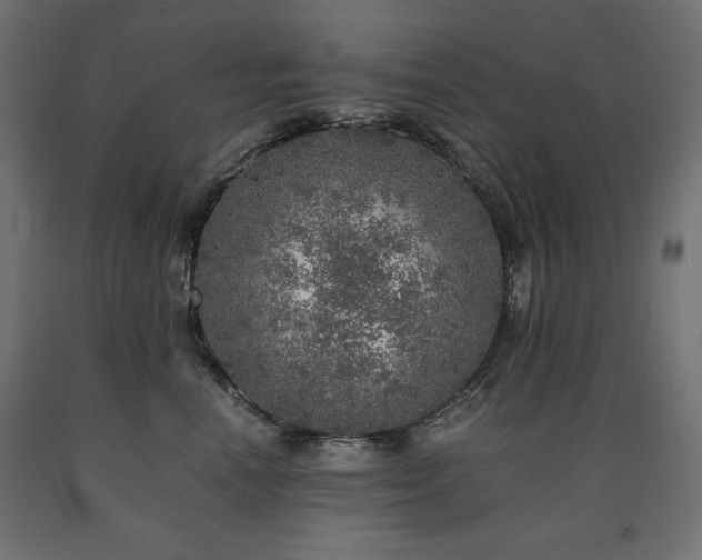 X0000091010666200708021549