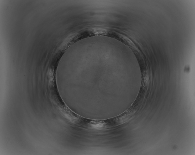 X0000091010667200708021549