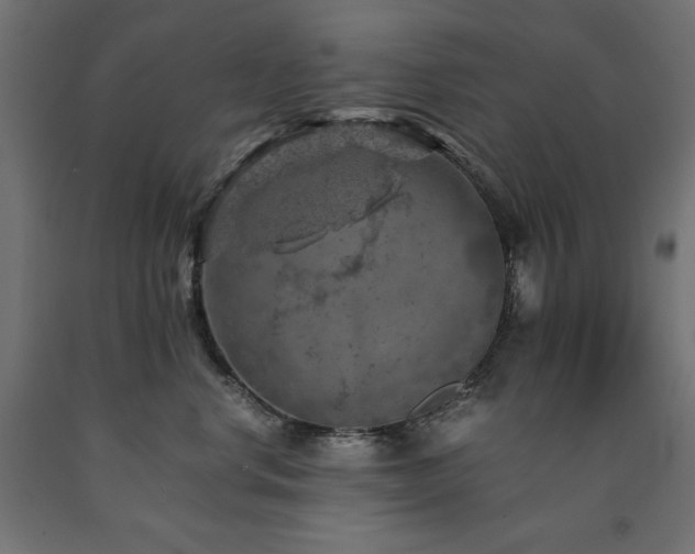 X0000091010668200708021549