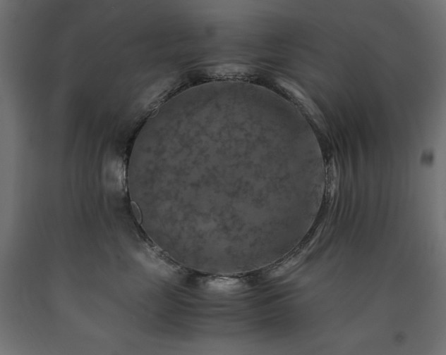 X0000091010669200708021549