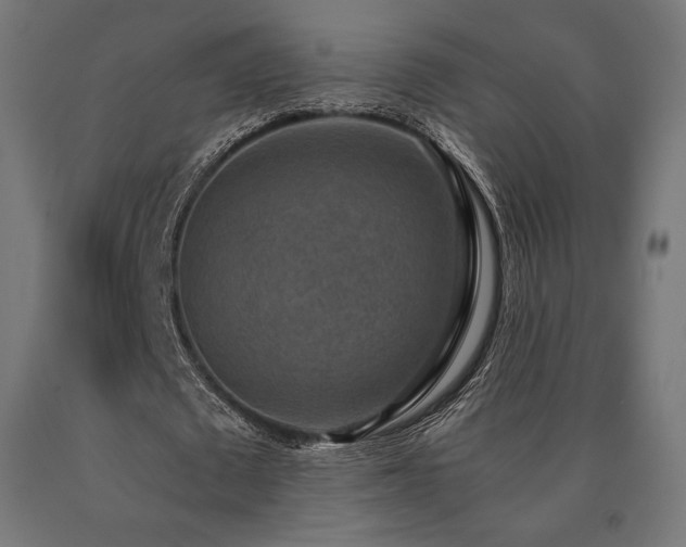 X0000091010673200708021549