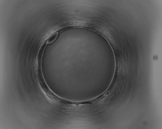 X0000091010674200708021549