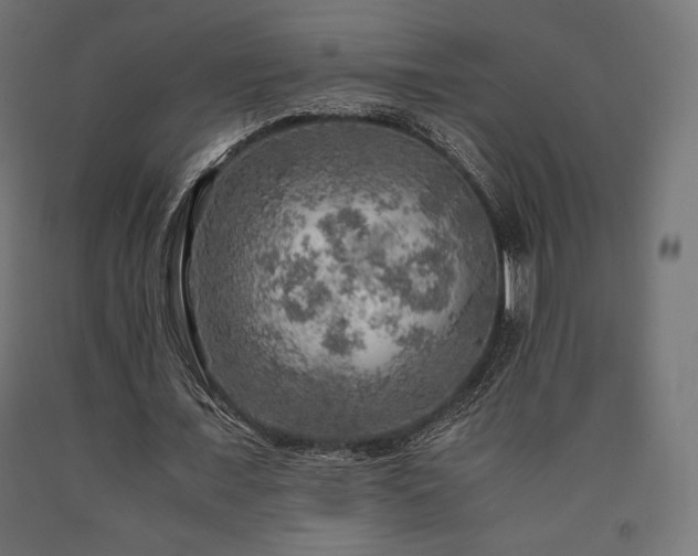 X0000091010675200708021549