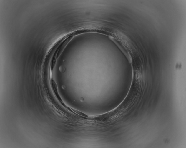 X0000091010676200708021549