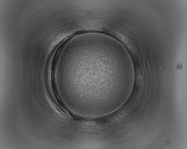 X0000091010677200708021549