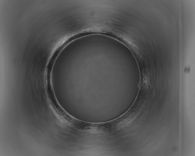 X0000091010678200708021549