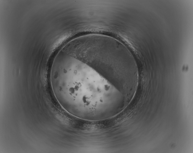 X0000091010679200708021549