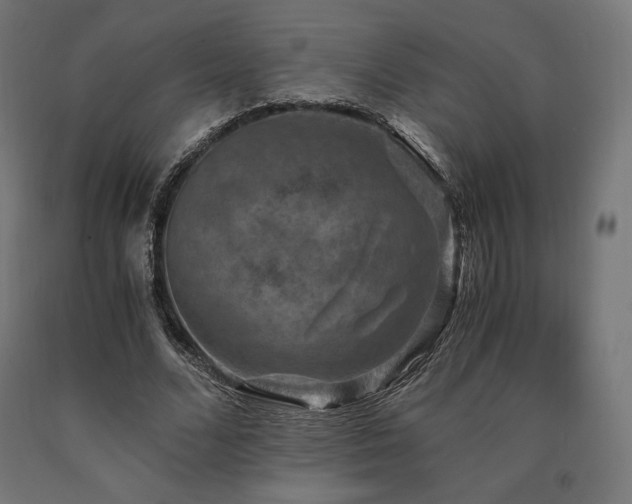 X0000091010680200708021549