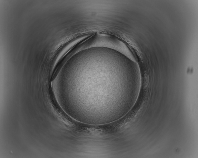 X0000091010681200708021549
