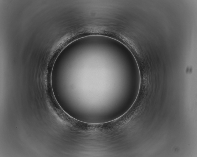 X0000091010682200708021549
