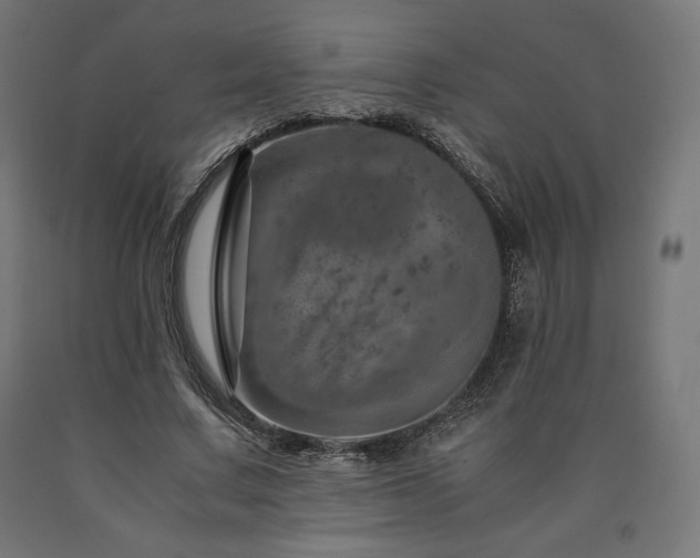 X0000091010683200708021549