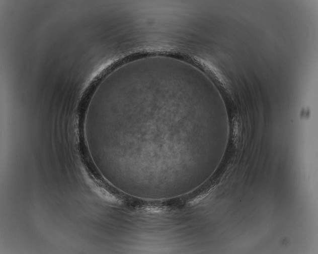 X0000091010684200708021549