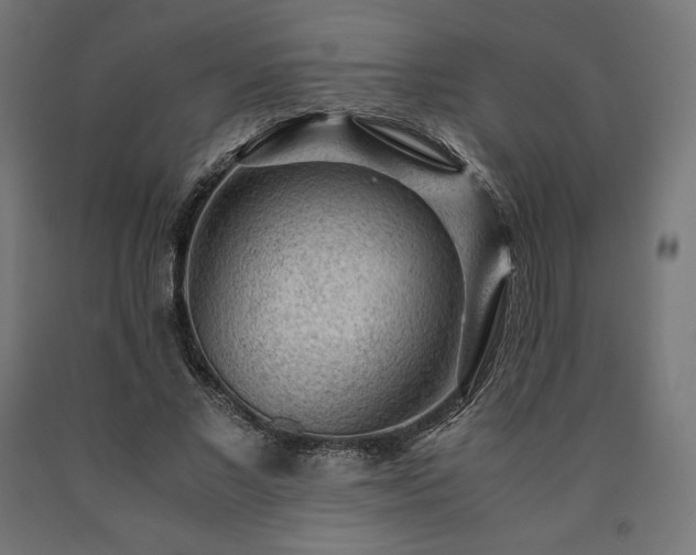 X0000091010685200708021549