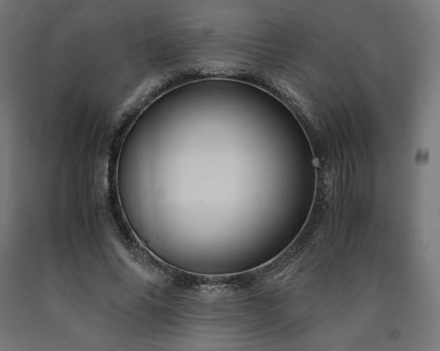 X0000091010686200708021549
