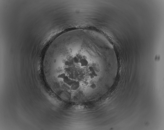 X0000091010687200708021549